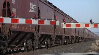 Tri-City Railroad Company Says Drivers Often Crash Through Crossing Arms