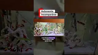 Filtragem impressionou o dono desse aqu&aacute;rio.