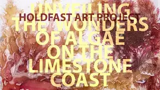 Unveiling the Wonders of Algae on the Limestone Coast ⎸Holdfast Art Project