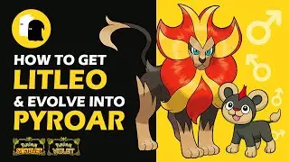 How to Get MALE LITLEO & Evolve Into PYROAR Pokemon Scarlet and Violet MALE LION
