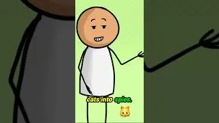 CIA Turned Cats into SPIES? 😺 Cold War Fail! #shorts