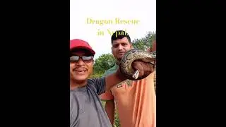 oh Dragon Rescue in Nepal. #villagelife #snake #agriculture