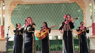 Un Poco Loco Coco - Mariachi Divas Disney California Adventure Park