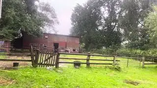I have a dream, die Gans, das Schaf… Träume können recht verschieden sein