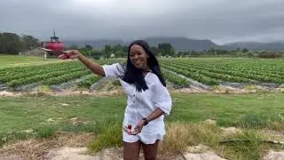 Knysna /pinnacle point/ Knysna heads/ Blu restaurant/ Redberry farm Part 2 of 3