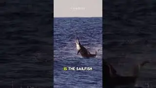 The Most Extraordinary Fish You Won&rsquo;t Believe Exist! 🌊