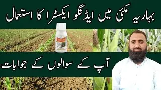 How to use Adengo Xtra herbicide || Post Emergence Weed Control || Bilal Kanju Official