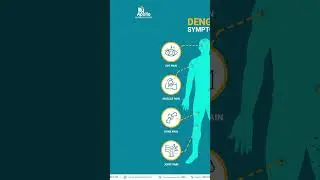 Dengue Awareness