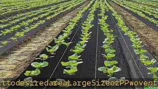 Weed Barrier Fabric 3.2oz Heavy Duty - 3ft x 300ft Landscape Fabric | Easy Install & Rugged Plastic