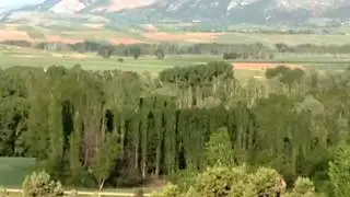 Zile kizilca koyu