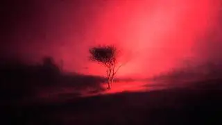 Joji - Piss In The Wind (FULL ALBUM)