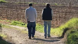 In the Real Early Morning