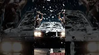 Старики спасают американскую супергигантскую девочку &mdash; USA RUSH Road | #шорты #спасение