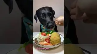 Dog Eats Shrimp, Tomato, Broccoli & Noodles Feast #shorts #dog #ai