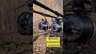 Баси карповые катушки, одни из лучших #карпфишинг #carpfishing #carp #рыбалка #ловлякарпа #карп