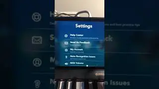 Simply Piano Bug