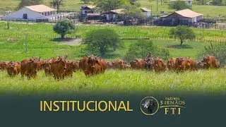 INSTITUCIONAL FTI 2019