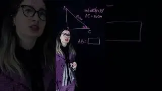Examen Cl. 9 la Matematică Exercițiu de Geometrie