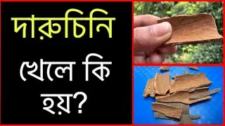 What happens if you eat cinnamon? | Benefits, precautions and proper eating rules | Cinnamon | Da...