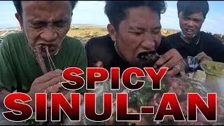 SPICY SINUL-AN!