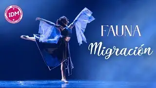 Migraci&oacute;n | FAUNA - Muestra Anual 2025 | Denisse Seminaro | IDM