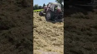 #ферма #сельскоехозяйство #силос