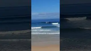 🏄&zwj;♂️ Perfect Waves At Lagido Beach 🌊 #beach #surf  #visitportugal #watersport #summer