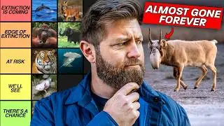 25 Animals That Are About To Go Extinct