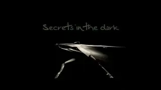 Chris Lake - Secrets In The Dark (2ways Remix)
