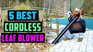 Top 5 Cordless Leaf Blowers 2024 | Best Leaf Blower?