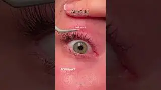 Comparing the Top 3 Lashes: Real or False? | AiryCute Velure