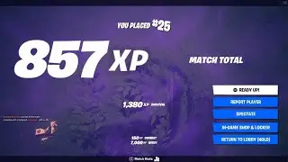 Fortnite chinese ratio