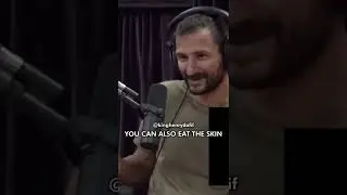 Unexpected benefit of eating deer antler skin - JRE Experience 📽️🎧