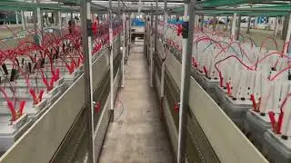 Split Solar street light's Gelled Battery Production workshop