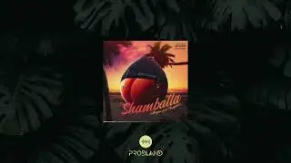 (INSTRUMENTALE) SHAMBALLA - ANYME023 X SHAYDEE'S
