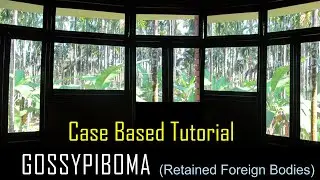 GOSSYPIBOMA (RETAINED FOREIGN BODIES) - A CASE BASED TUTORIAL.
