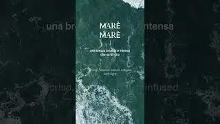 CERASA SINESTESIE - An experience beyond design