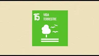 ODS 15 - Vida Terrestre - Observatório do Futuro | TCESP