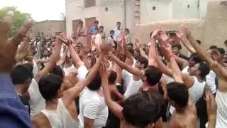 Alabbas matmi sangat chak 210 tarar