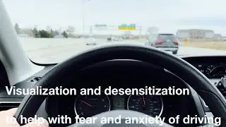 Driving Visualization