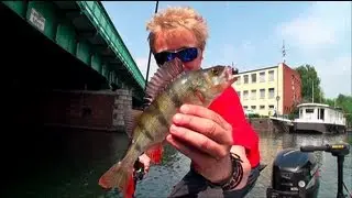 Angeln auf Zander, Barsche und Hechte | Modernes Spinnfischen