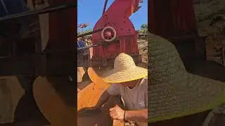 铁矿石03/01/2025 矿山工作情况实录Iron Ore 03/01/2025 - Record of Mine Work Status