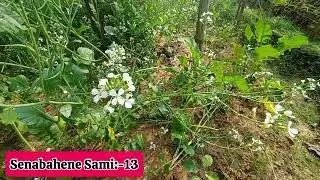 New Golpo:- সেনাবাহিনী স্বামী | পর্ব_১৩ | Senabahene Sami | Part-13 | Nila Apu &hearts;️