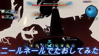 爆熱神ヴォルティチェLv94をニール・ネールでたおしてみた。【ゼノブレイドクロスDE】