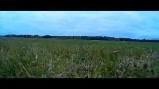 Eachine Racer 250 FPV First Flight (banggood.com)