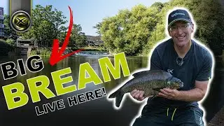 BIG BREAM FISHING IN A WEIR POOL! (With JON ARTHUR)