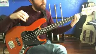 The Fez Steely Dan bass cover