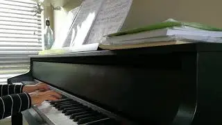 Video Casio GP 300