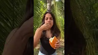 Trying Chocolate Fruit 🔥🔥 | Eating Raw Cocoa Fruit 🤯| So Saute #shorts