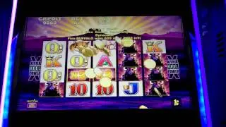 Aristocrat technologies - Buffalo Slot Bonus